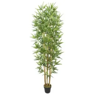 עץ במבוק טבעי 1.80 מטר