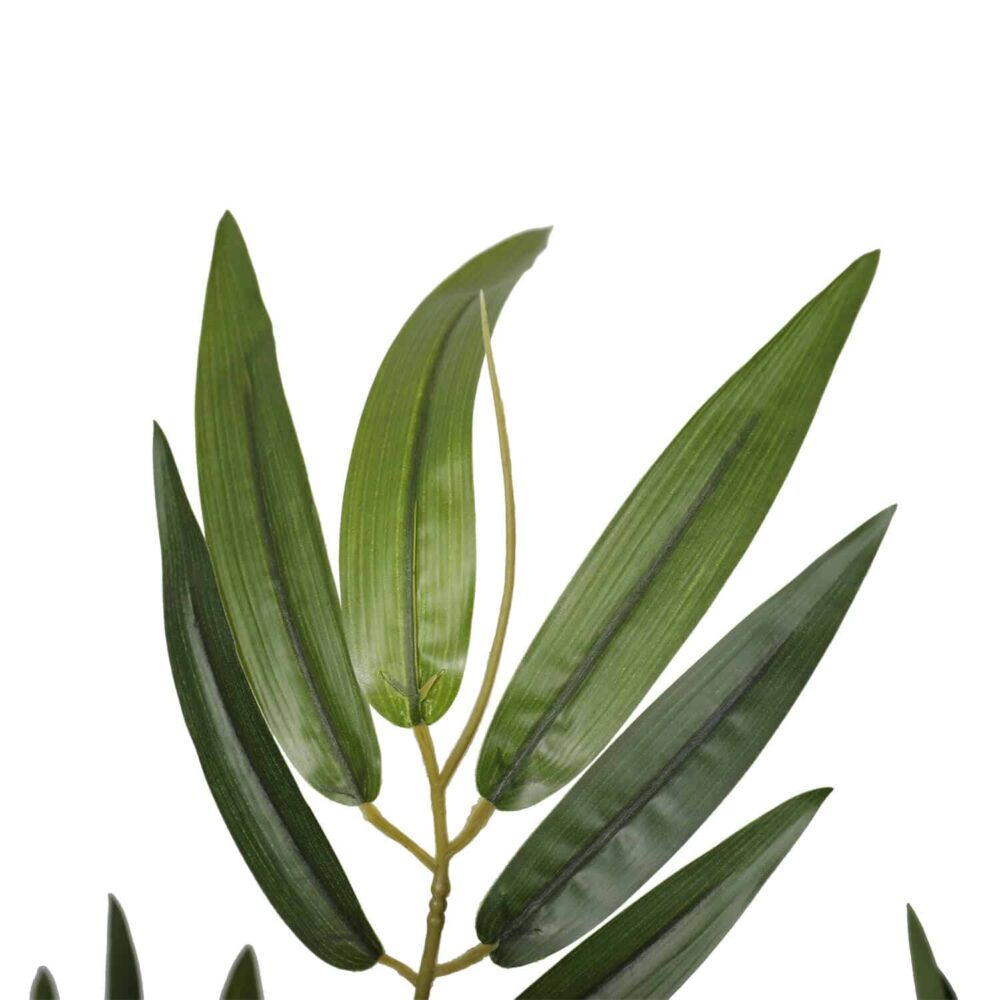 ⁦עץ במבוק טבעי 1.20 מטר⁩ – תמונה ⁦4⁩