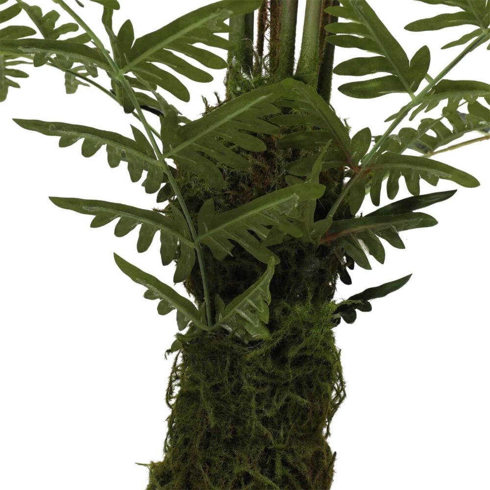 Alternative view of עץ שרך 1.5 מטר