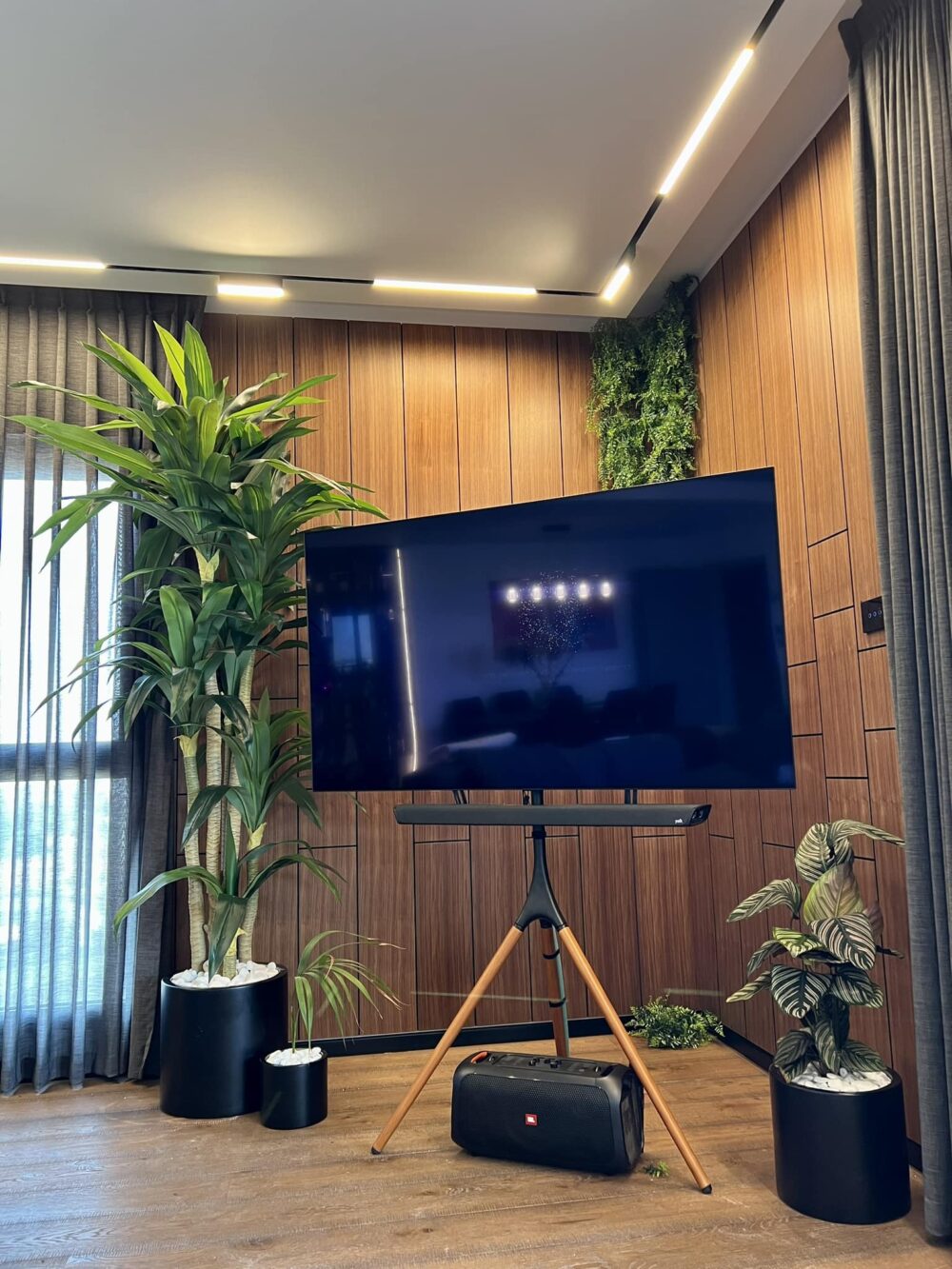 ⁦דרצנה מרגריטה 2.4 מטר כולל כד סנטוריני במגוון צבעים⁩ – תמונה ⁦6⁩