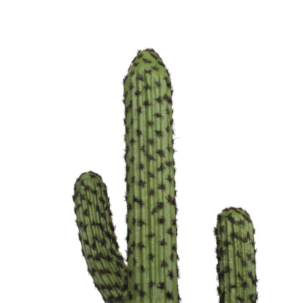 Alternative view of צמח קקטוס 62 ס"מ