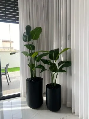 סט זוג כדי הוואי כולל זוג ציפור גן עדן 1.8 ו 1.2 מטר