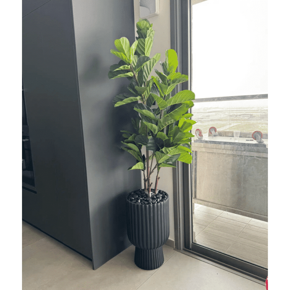 פיקוס כינורי מלאכותי בגובה 1.5 מטר עם הגנת UV כולל כד ונציה בצבעים