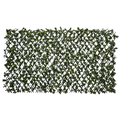 Alternative view of קיר גדר עלי דפנה CCGA003