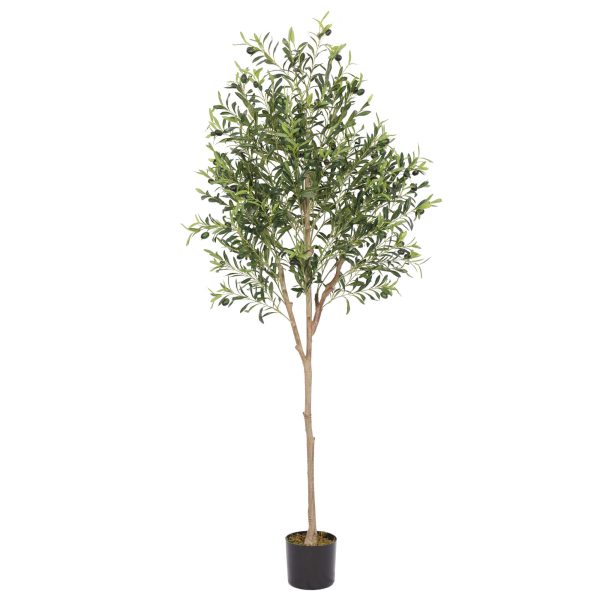 עץ זית מלאכותי 1.8 מטר עמיד ל־UV