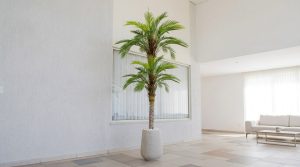 מדריך בחירת גובה עץ מלאכותי לפי גובה החלל