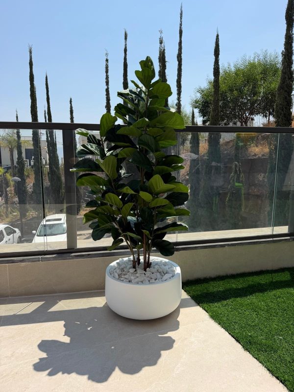 פיקוס כינורי מלאכותי 1.5 מטר UV כולל קערת פיבר
